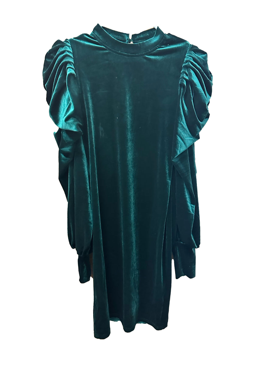 WHY Dress Velvet Green